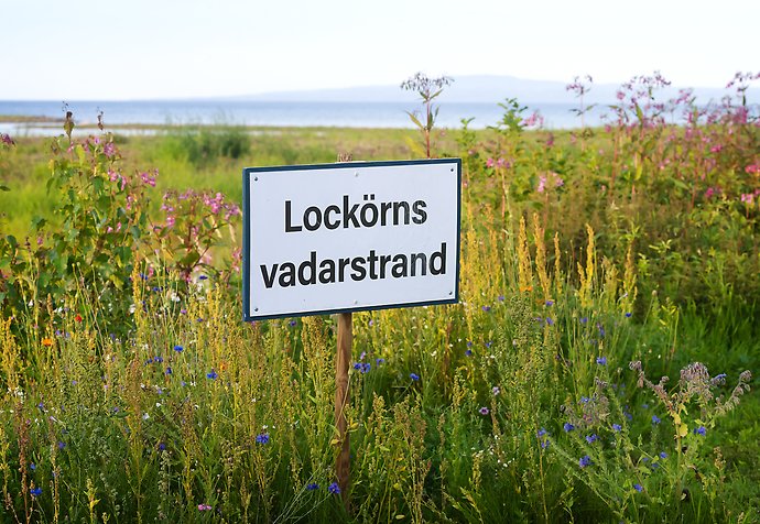 Namngivning av vadarstrand Framnäs